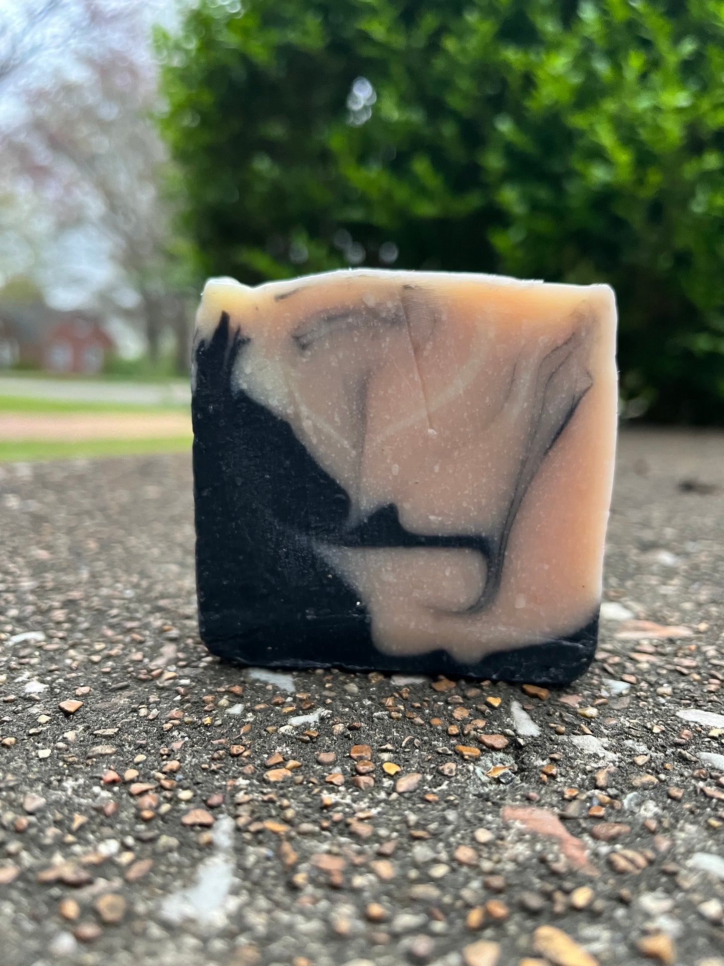 Restore Tallow Charcoal & Rose Clay Facial Soap