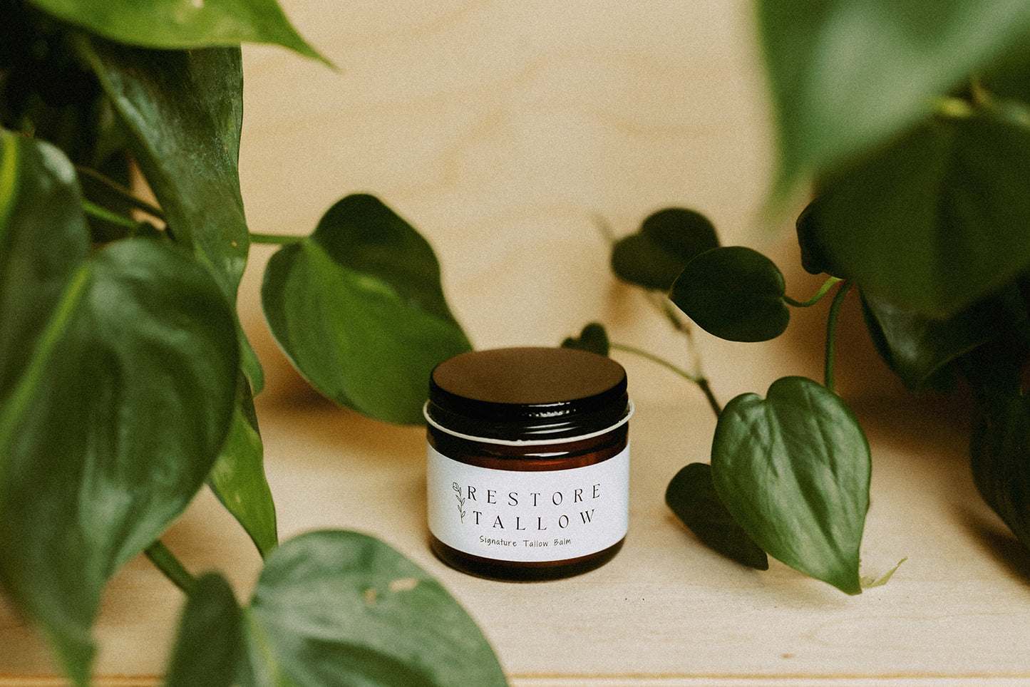 Restore Tallow Balm - 2oz